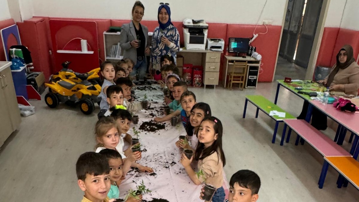 İbrahim Bey Anasınıfları Olarak Tohumlarımız Fidelerimize, Fidelerimizde Toprakla Buluştu